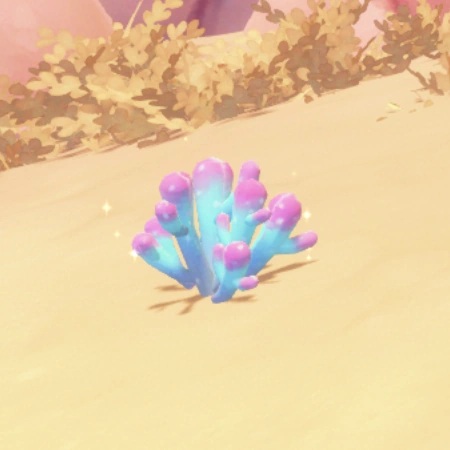採集_スターライトサンゴ.JPG